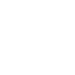 ce logo Vienna